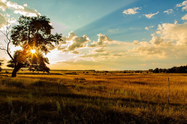 степной пейзаж с заходящим солнцем