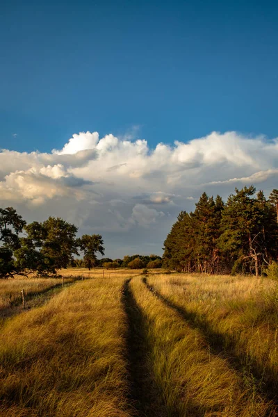 Вечерний Степной Пейзаж Голубым Небом Облаками — стоковое фото
