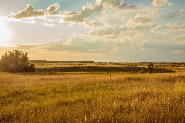 Evening Steppe Landscape Blue Sky Clouds — Stock Photo, Image