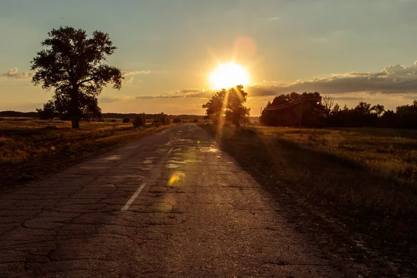 有道路和夕阳西下的黄昏草原景观 — 图库照片