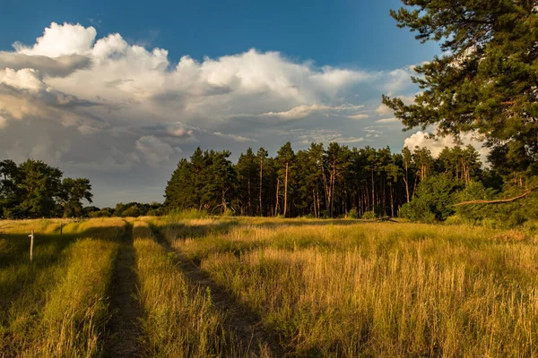 Abendliche Steppenlandschaft Mit Blauem Himmel Und Wolken — Stockfoto