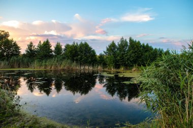 Akşam manzarası, küçük bir gölet ve sazlıklar.