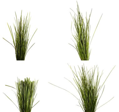 Beyaz arka planda bir sürü yeşil çimen. set, koleksiyon