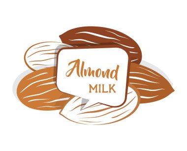 Çiğ badem fındık çeşitli renkli olarak ayarlayın. badem sütü konuşma balonu içinde. düz stil vektör çizim.