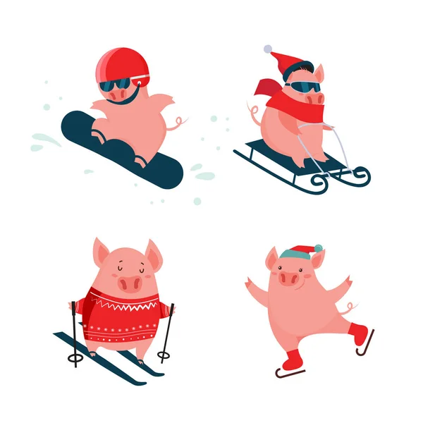 Komik karikatür domuzlar. Kış vektör spor aktiviteleri. Yeni yıl sembolü. Kartpostallar, posterler, çıkartmalar ve benzeri tasarımı için mükemmel. — Stok Vektör