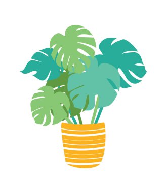 Büyük yeşil yapraklı taze havuç. Vektör