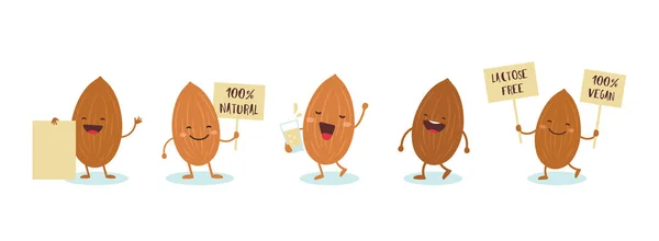 Almonds characters holding signs saying Vegan friendly, 100 percent natural, lactosw free. Vector — Stock Vector