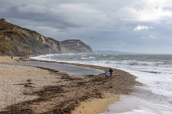 People Hunting Fossils Charmouth Beach Jurassic Coast Dorset England — Stock Photo, Image