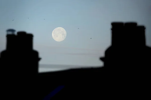 Maan boven daken — Stockfoto