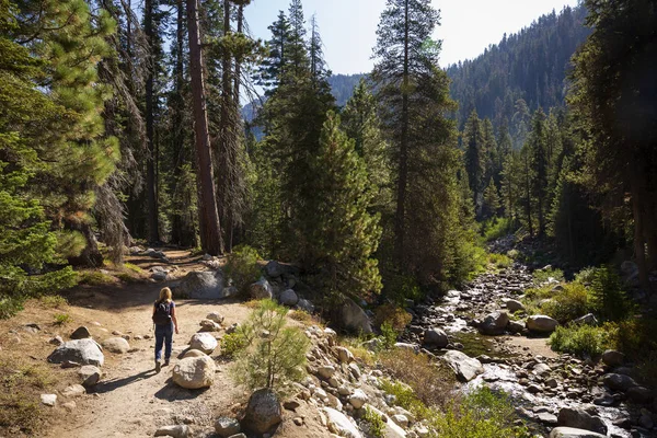 Woman walking the Tokopah Falls Trail in Sequoia National Park,