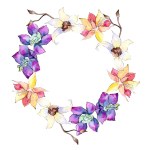 Purple, yellow and white orchid flowers. Watercolor background illustration. Frame border ornament wreath.