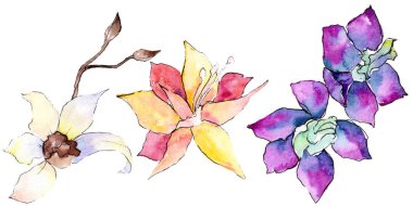 Mor, sarı ve beyaz orkide çiçekleri beyaz izole. Suluboya arka plan illüstrasyon. Çizilmiş aquarelle çiçekler teslim.