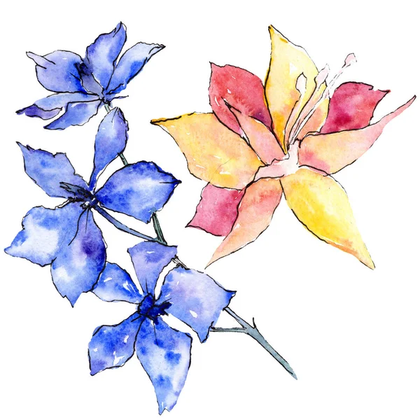 紫色和黄色的兰花 独立的插图元素 水彩背景插图 手绘水花 — 图库照片