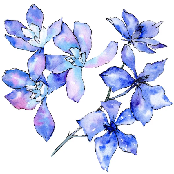 Violette Orchideenblüten Isoliertes Illustrationselement Aquarell Hintergrundillustration Handgezeichnete Aquarellblumen — Stockfoto