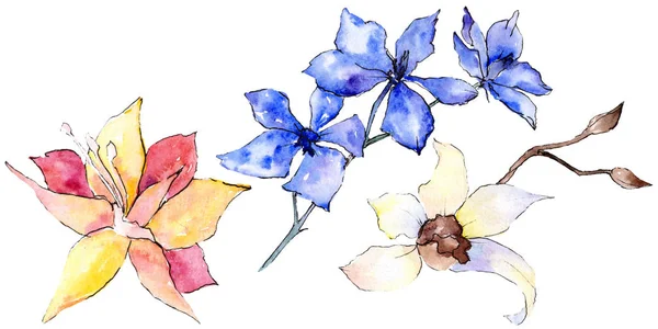 Flores Orquídeas Roxas Amarelas Brancas Isoladas Branco Ilustração Fundo Aquarela — Fotos gratuitas