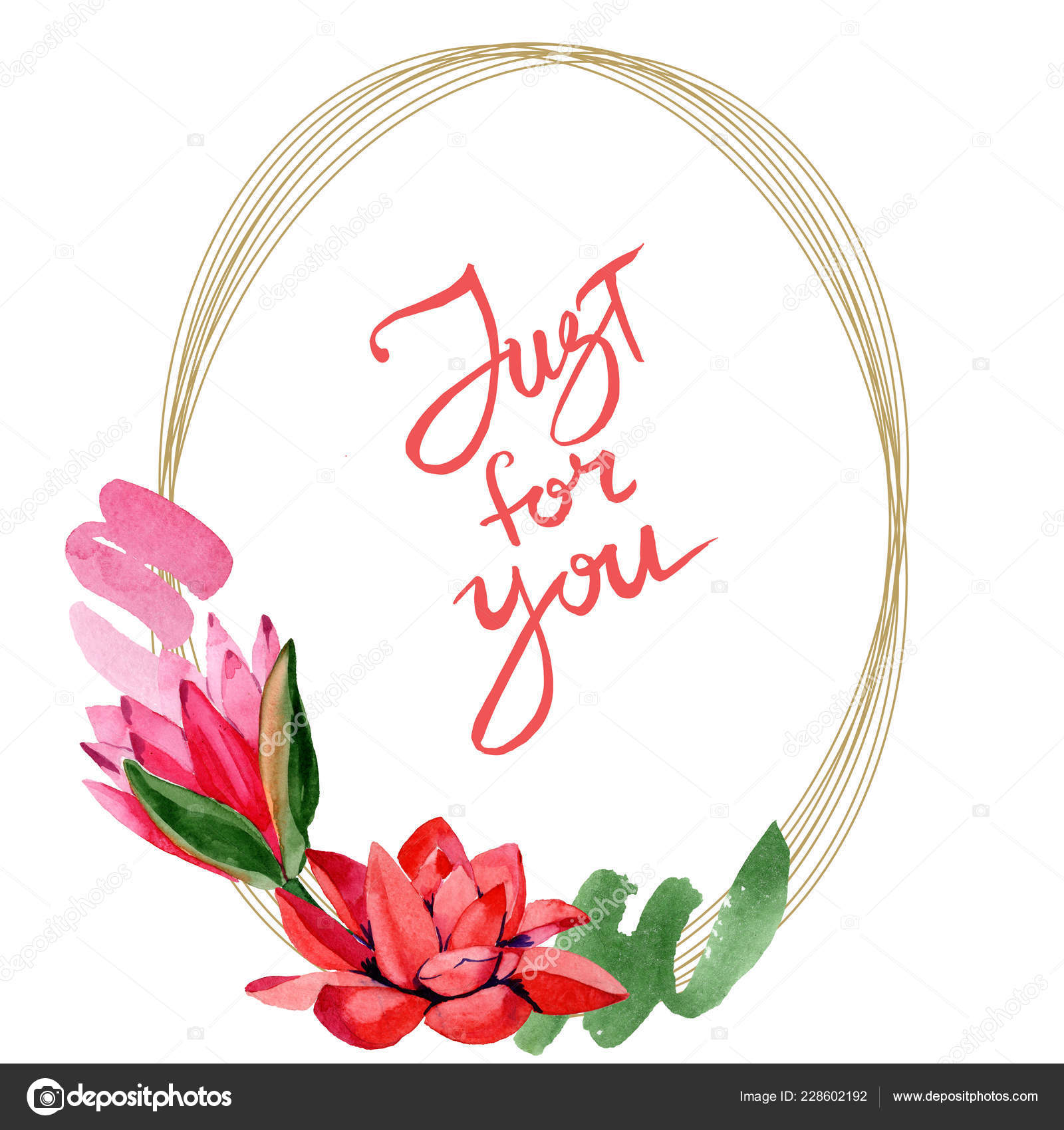 赤い蓮の花 ちょうどのあなたはモノグラムに手書き書道 水彩画背景イラスト フレームの枠線ラウンド ゴールデン 手描き Aquarell 無料のストック 写真 C Andreyanush