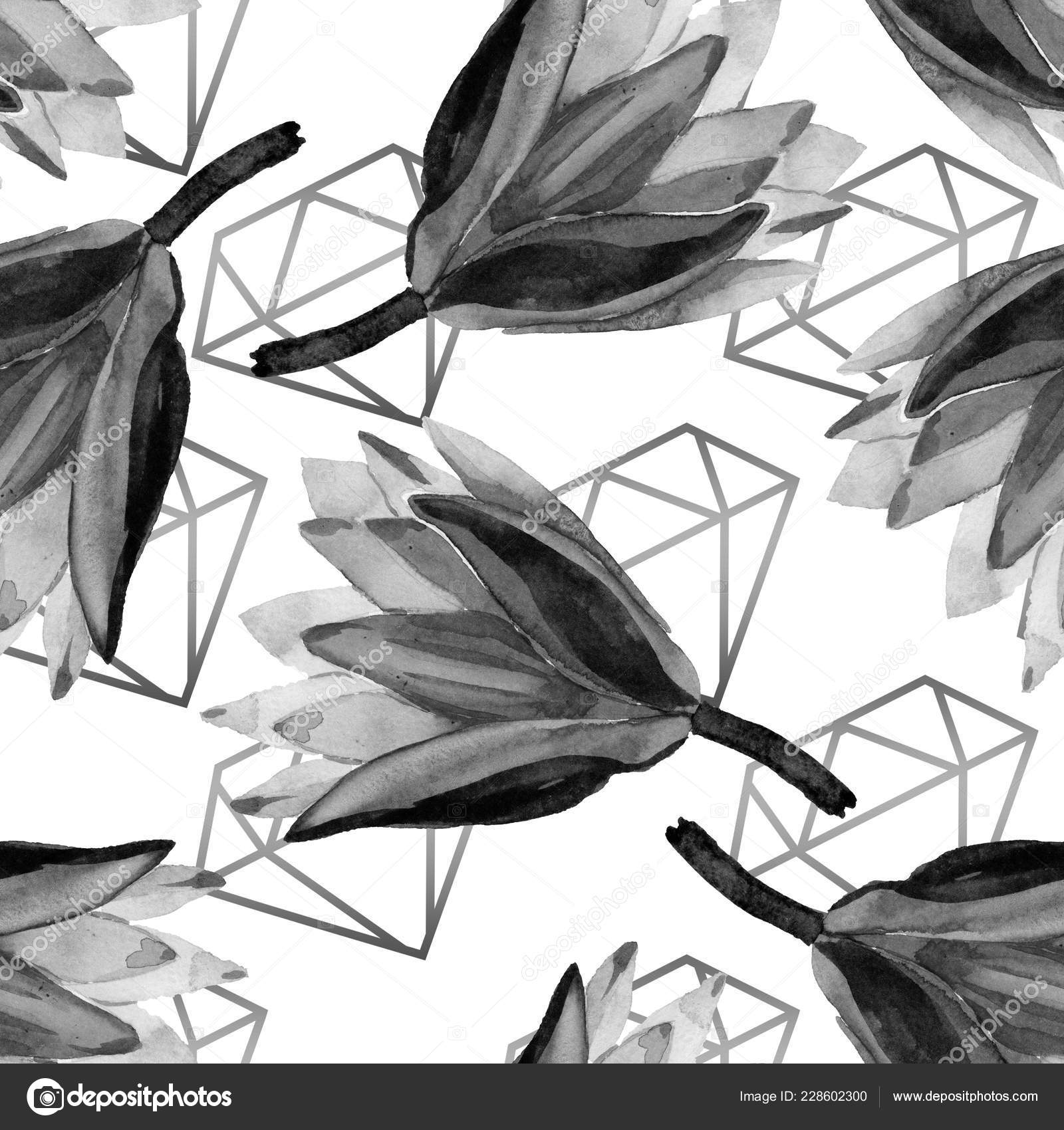 100+ Wallpaper Black Lotus HD Paling Baru 100+ Wallpaper Black Lotus HD Paling Baru