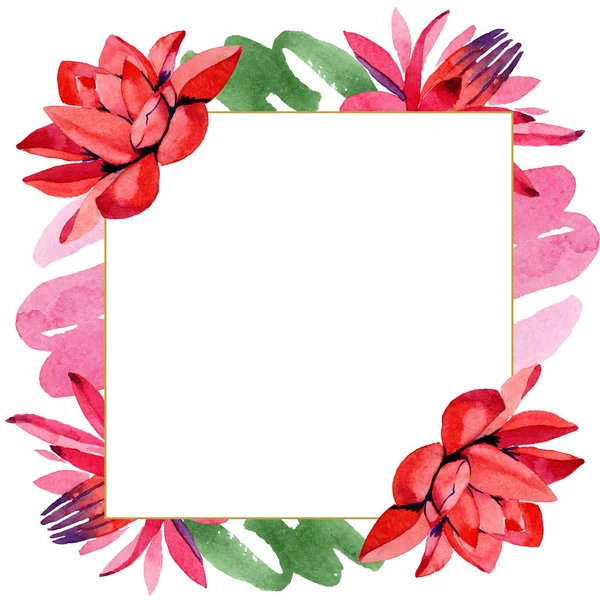 Red Lotus Flowers Watercolor Background Illustration Frame Border Ornament Square — Stock Photo, Image