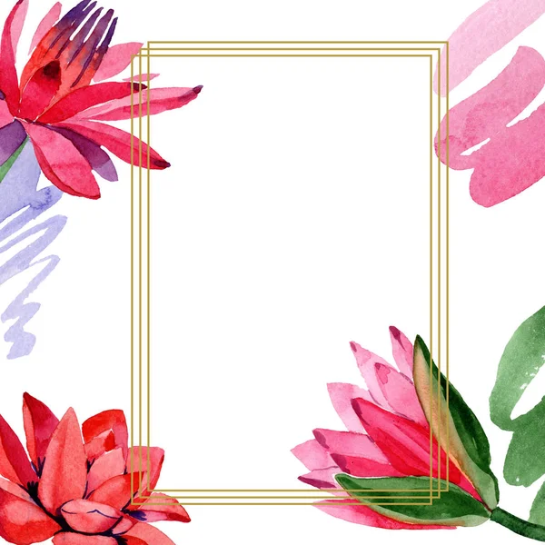 Red Lotus Flowers Watercolor Background Illustration Frame Border Golden Square — Free Stock Photo