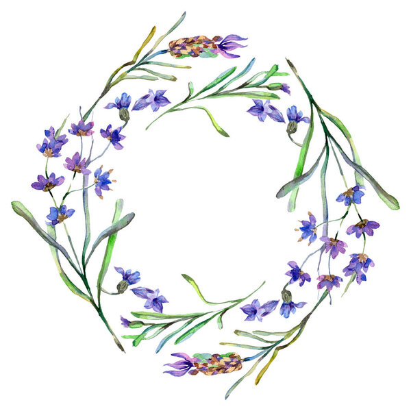 Фиолетовые лавандовые цветы. Весенние полевые цветы. Акварельная фоновая иллюстрация. Граница рамы венка
.