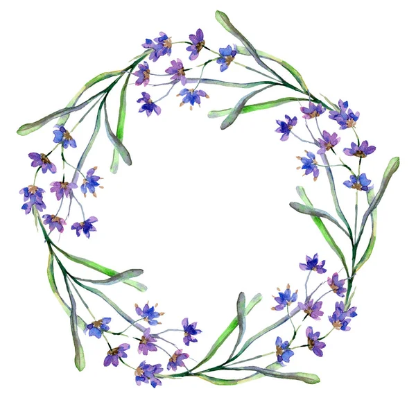 Purple lavender flowers. Spring wildflowers. Watercolor background illustration. Wreath frame border.