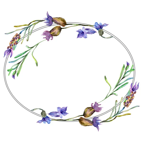 Lila Lavendelblommor Vilda Våren Blommor Med Gröna Blad Akvarell Bakgrund — Gratis stockfoto