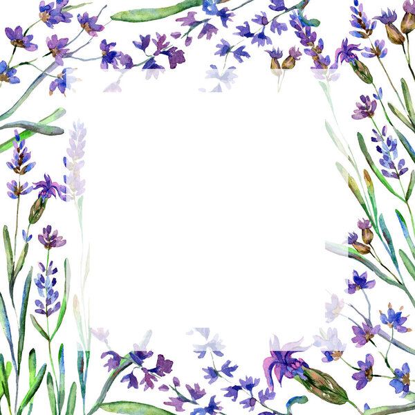 Фиолетовые лавандовые цветы. Весенние цветы. Акварельная фоновая иллюстрация. Каркас пограничной площади
.