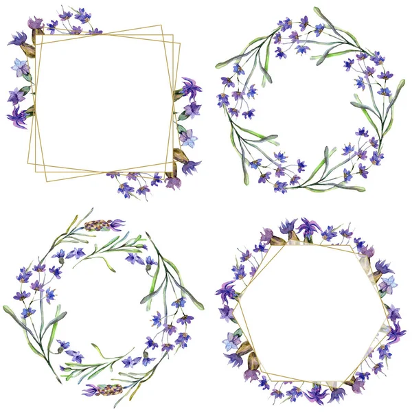 Violette Lavendelblüten Wilde Frühlingsblätter Aquarell Hintergründe Gesetzt Quadratisch Rund Kranz — Stockfoto