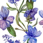 Фиолетовые лавандовые цветы. Бесшовный рисунок фона. Ткань обои печать текстуры. Ручной рисунок акварелью .