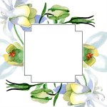 オダマキの花は白い。フレーム枠飾りスクエア。水彩画背景イラスト。アクワレル スタイルで描く美しいオダマキの花.