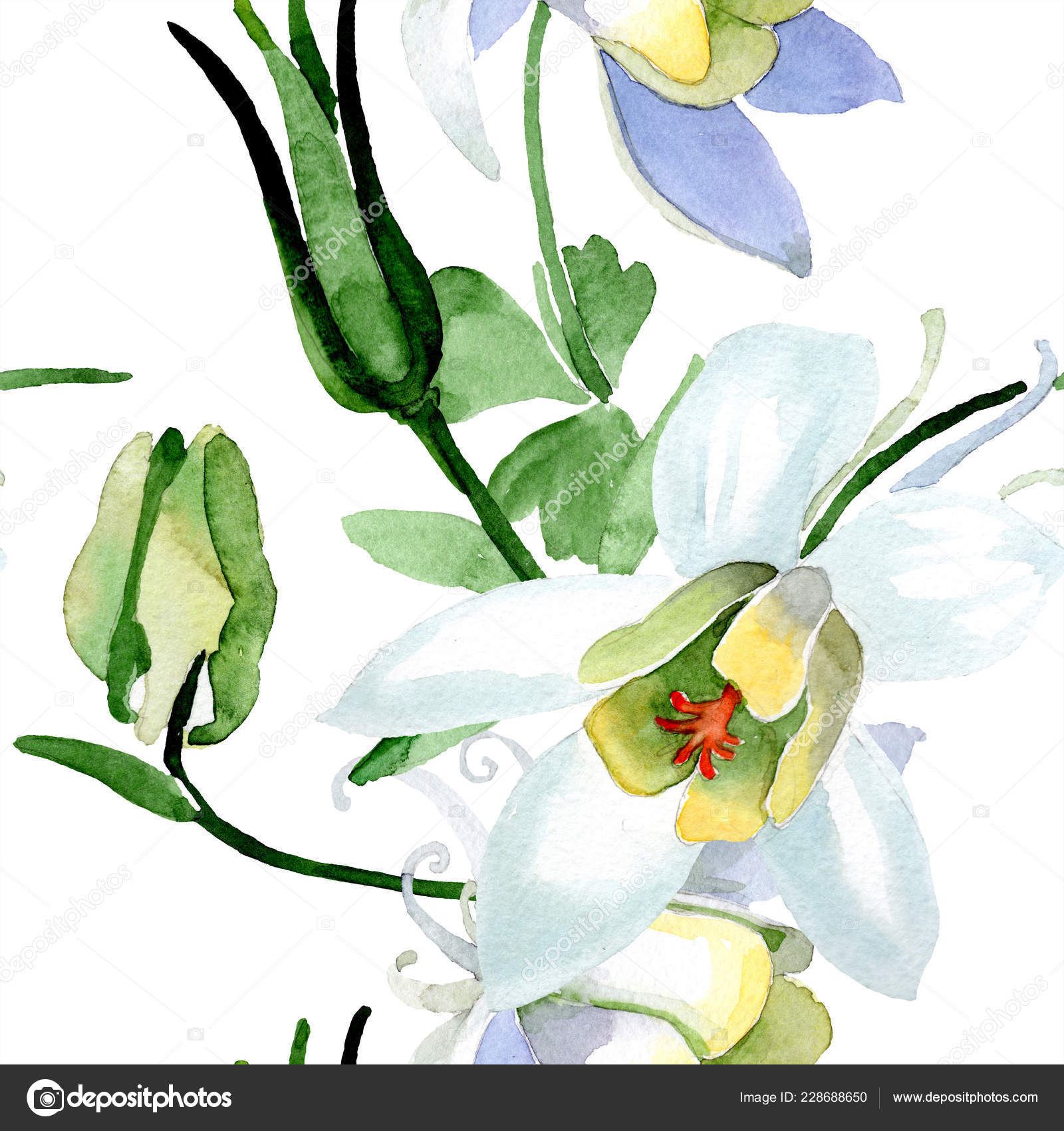 白色的水痛花美丽的春天野花无缝的背景模式织物壁纸打印纹理水彩背景插图 免费图库图片 C Andreyanush