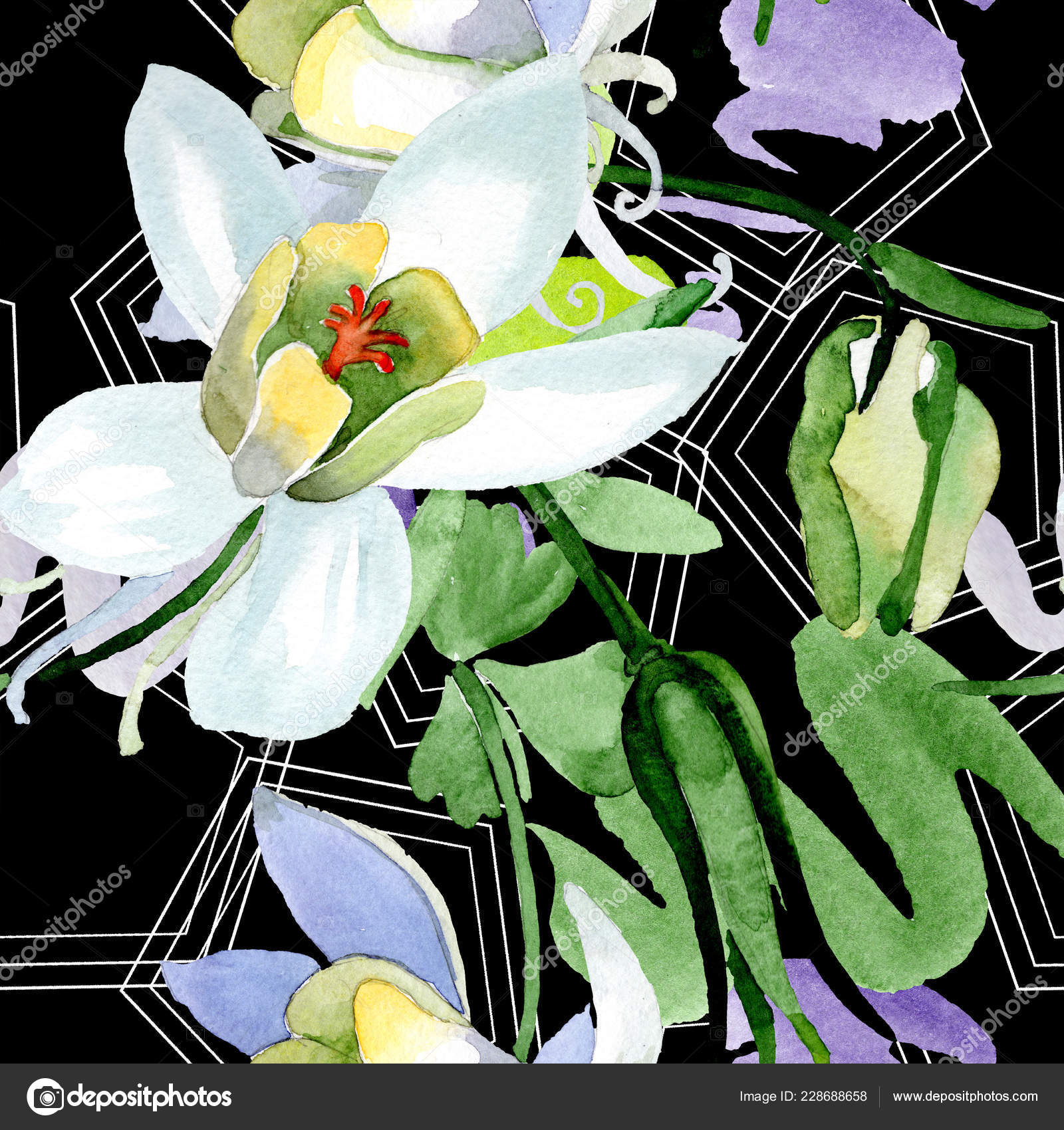 白色的水痛花美丽的春天野花无缝的背景模式织物壁纸打印纹理水彩背景插图 免费图库图片 C Andreyanush