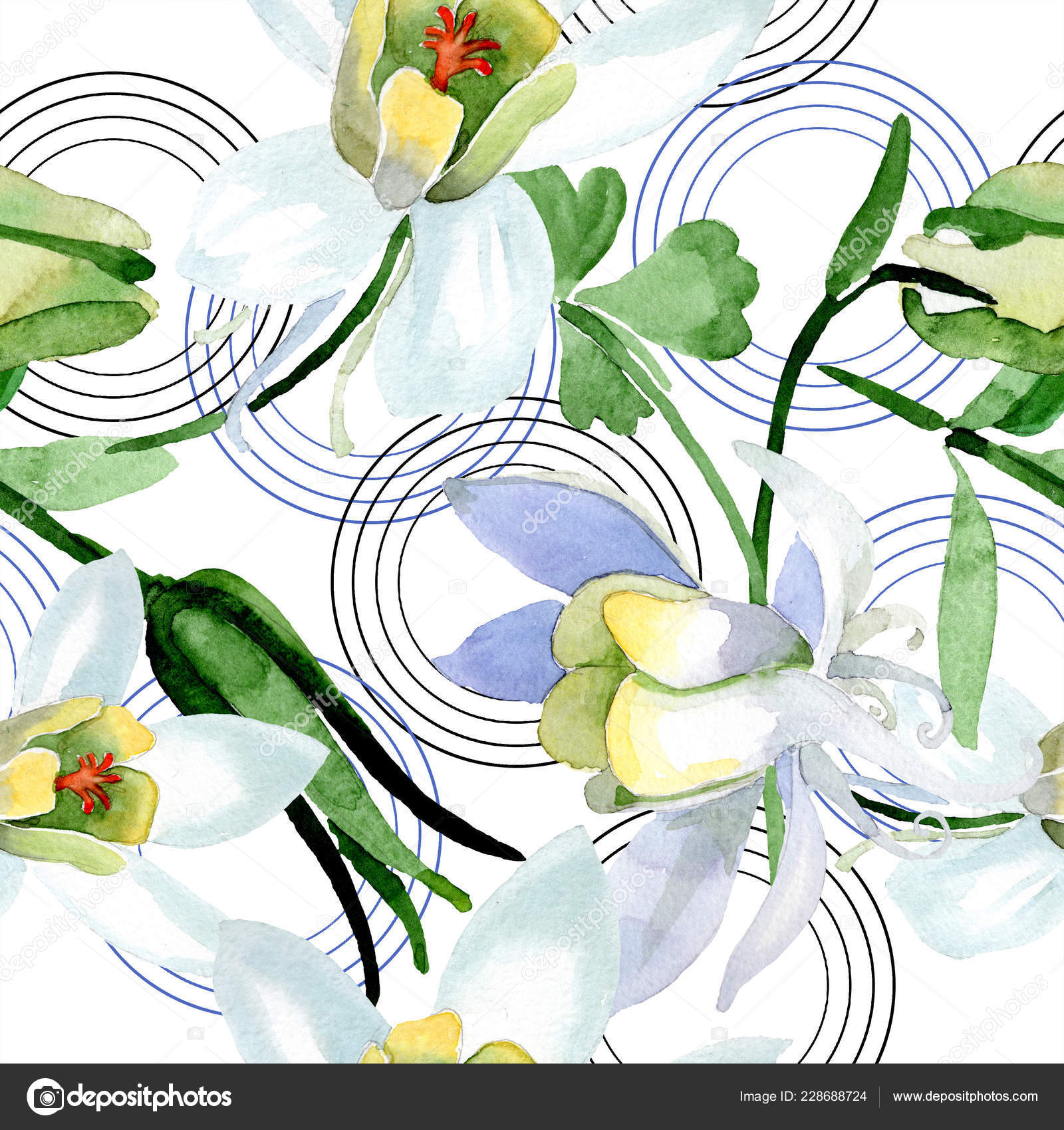 白色的水痛花美丽的春天野花无缝的背景模式织物壁纸打印纹理水彩背景插图 免费图库图片 C Andreyanush