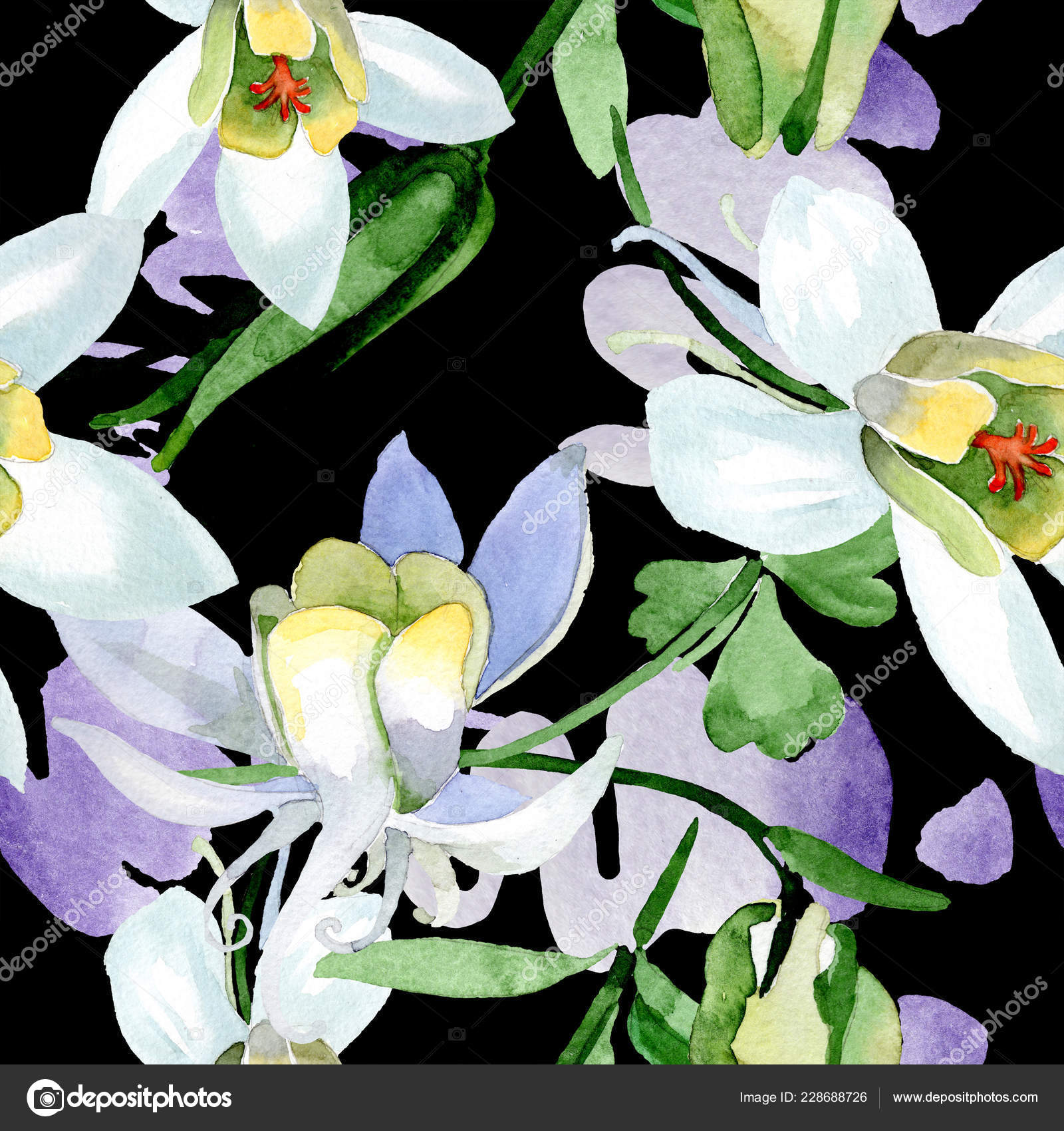 白色的水痛花美丽的春天野花无缝的背景模式织物壁纸打印纹理水彩背景插图 免费图库图片 C Andreyanush