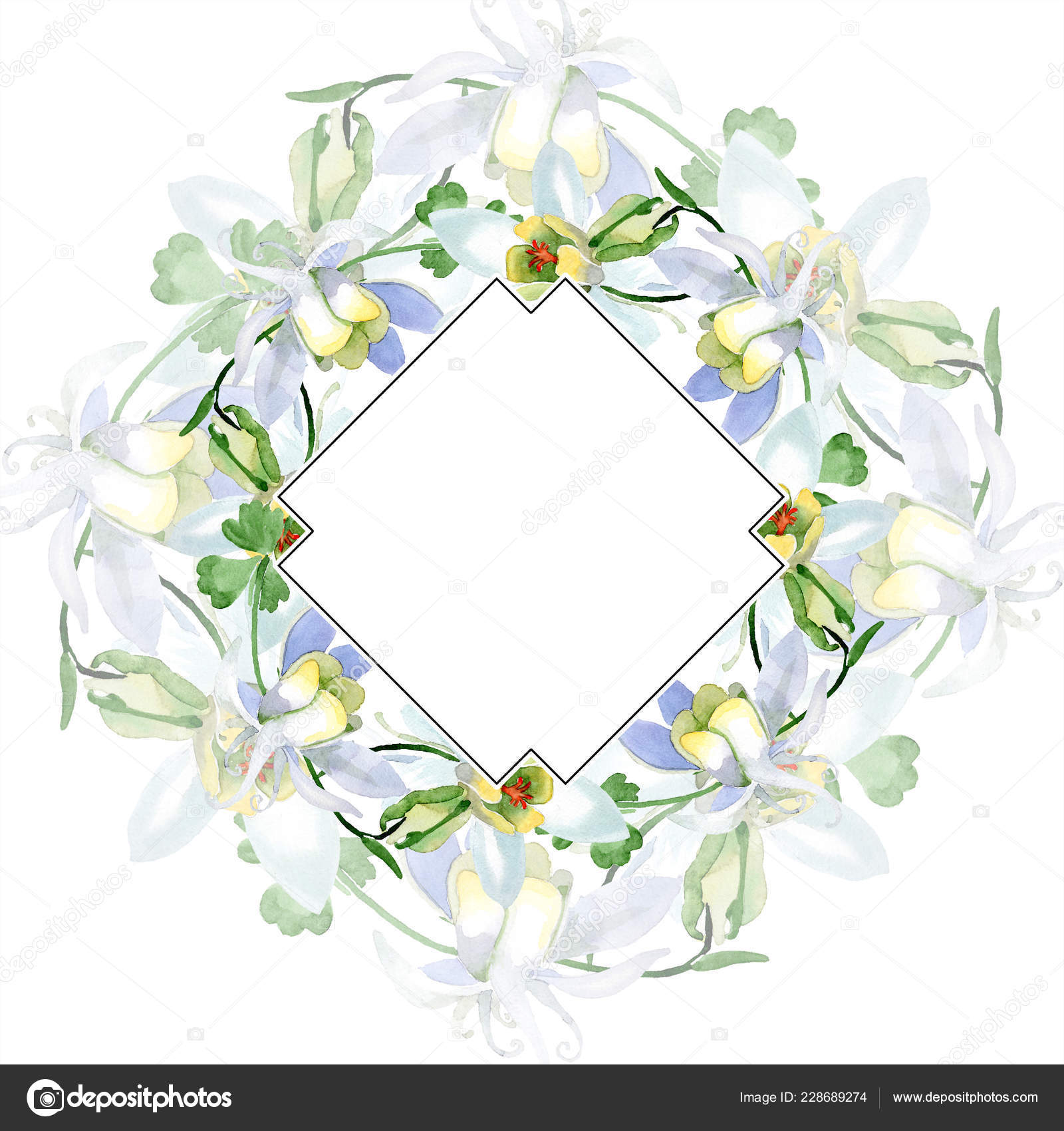 オダマキの花は白い フレーム枠飾りスクエア 水彩画背景イラスト アクワレル スタイルで描く美しいオダマキの花 無料のストック写真 C Andreyanush