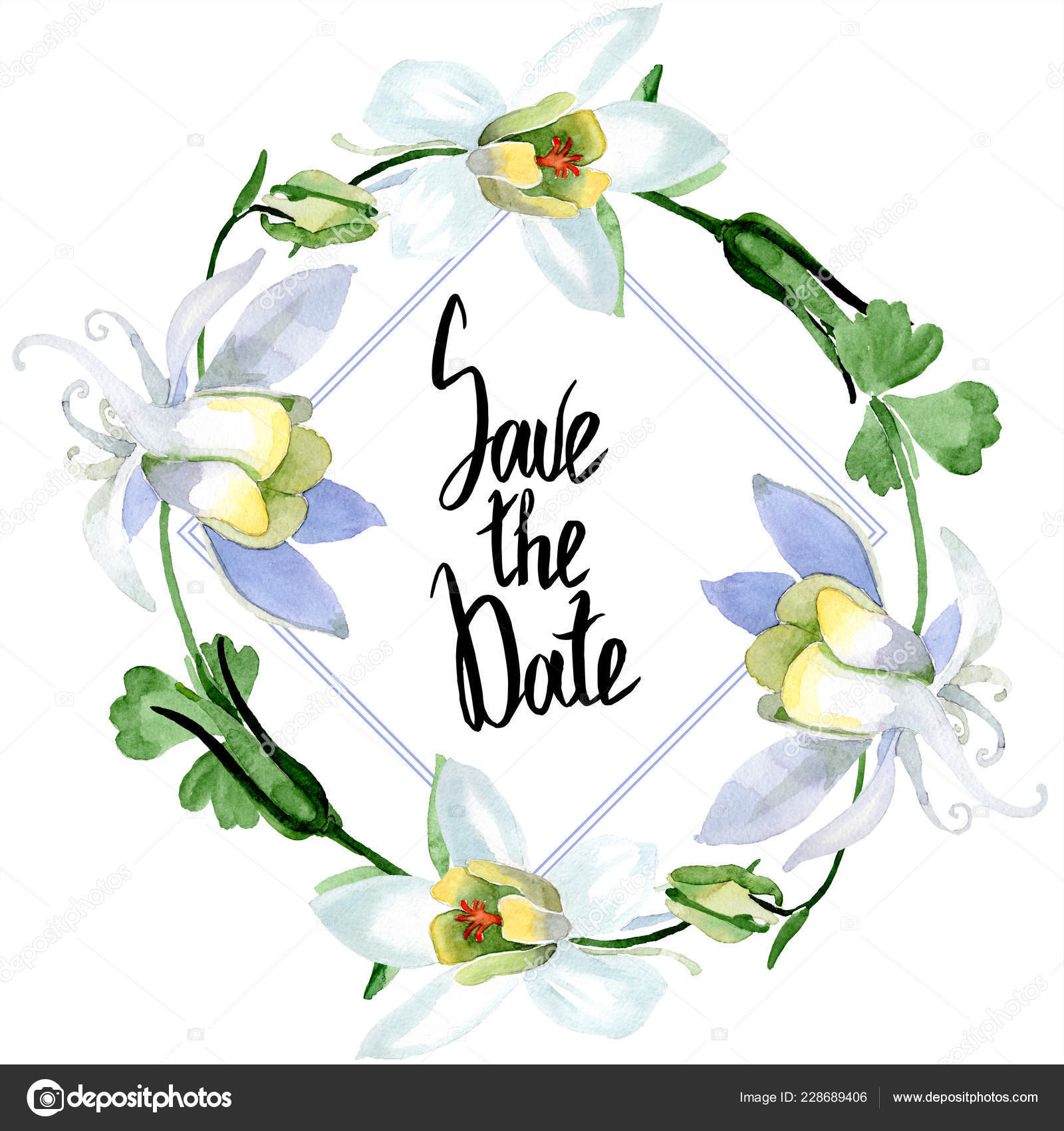 White Aquilegia Flowers Date Handwriting Monogram Calligraphy Frame Border Ornament Stock Photo Image By C Andreyanush 228689406 depositphotos