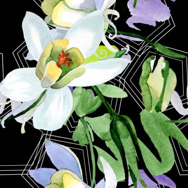 Aquilegia çiçekler beyaz. Güzel bahar kır çiçekleri. Sorunsuz arka plan deseni. Kumaş duvar kağıdı yazdırma doku. Suluboya arka plan illüstrasyon.