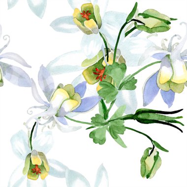 Aquilegia çiçekler beyaz. Güzel bahar kır çiçekleri. Sorunsuz arka plan deseni. Kumaş duvar kağıdı yazdırma doku. Suluboya arka plan illüstrasyon.