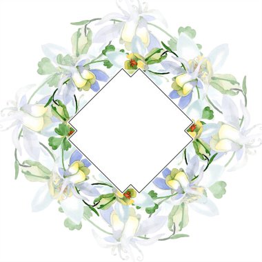 Aquilegia çiçekler beyaz. Çerçeve kenarlığı süsleme Meydanı. Suluboya arka plan illüstrasyon. Güzel aquilegia çiçek Aquarelle tarzı çizim.