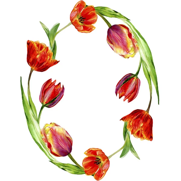 Amazing Red Tulip Flowers Green Leaves Hand Drawn Botanical Flowers — Stock Photo, Image