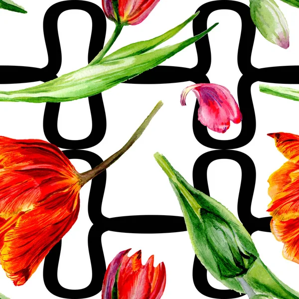 Incredibili Fiori Tulipano Rosso Con Foglie Verdi Fiori Botanici Disegnati — Foto Stock