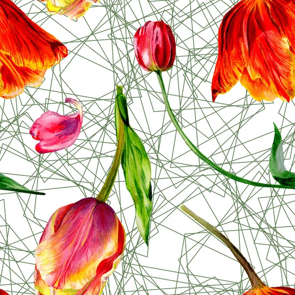 Incredibili Fiori Tulipano Rosso Con Foglie Verdi Fiori Botanici Disegnati — Foto Stock