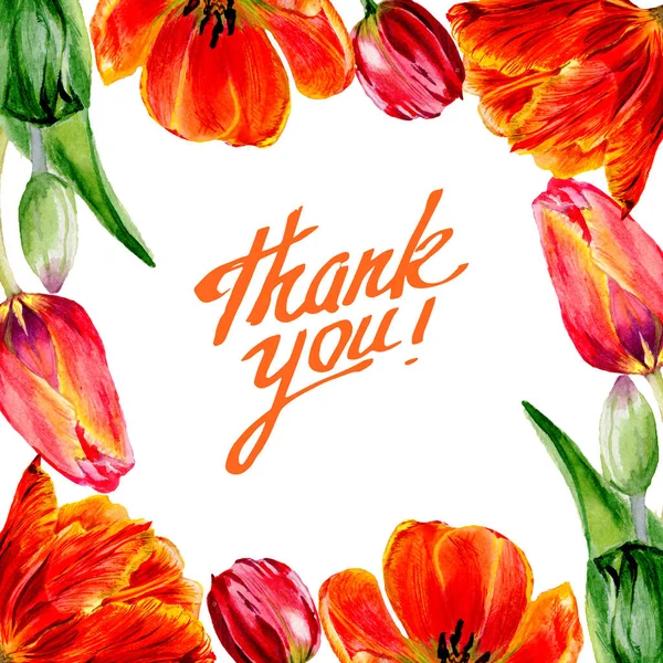 Amazing red tulip flowers with green leaves. Thank you handwriting monogram calligraphy. Hand drawn flowers. Watercolor background illustration. Frame border square.