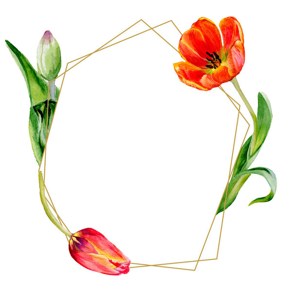 Удивительные красные цветы тюльпана с зелеными листьями. Ручной рисунок ботанических цветов. Акварельная фоновая иллюстрация. Кристалл краевого орнамента. Геометрический кварцевый кристалл
.
