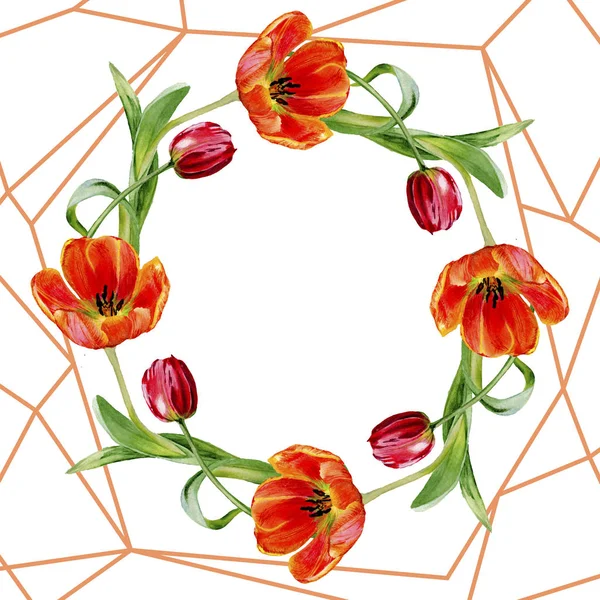 Incredibili Fiori Tulipano Rosso Con Foglie Verdi Fiori Botanici Disegnati — Foto stock gratuita