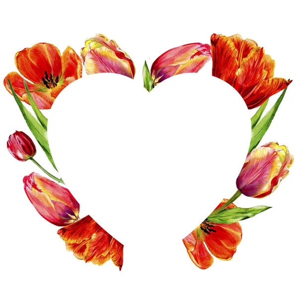 Incríveis Flores Tulipa Vermelha Com Folhas Verdes Flores Botânicas Desenhadas — Fotografia de Stock