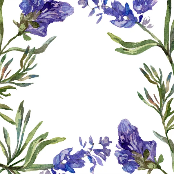Purple lavender flowers. Wild spring flowers. Watercolor background illustration. Frame border square.