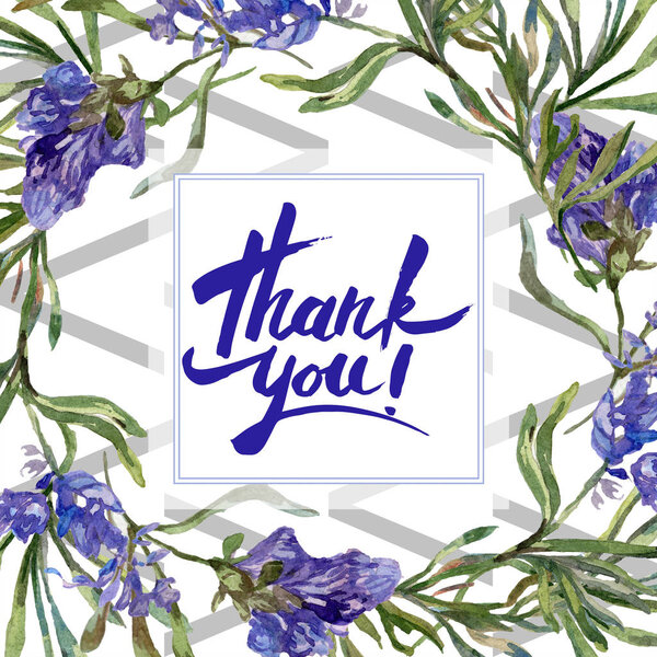 Purple lavender flowers. Thank you handwriting monogram calligraphy. Beautiful spring wildflowers. Watercolor background illustration. Frame border square.