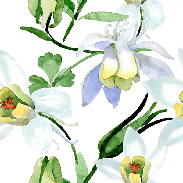 Белые Цветы Аквилегии Прекрасные Весенние Полевые Цветы Бесшовный Рисунок Фона — стоковое фото