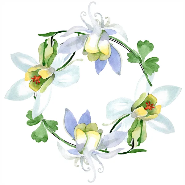 Witte Aquilegia Bloemen Frame Grens Sieraad Krans Aquarel Achtergrond Illustratie — Stockfoto